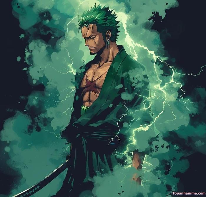 Mẫu ảnh Roronoa Zoro 27