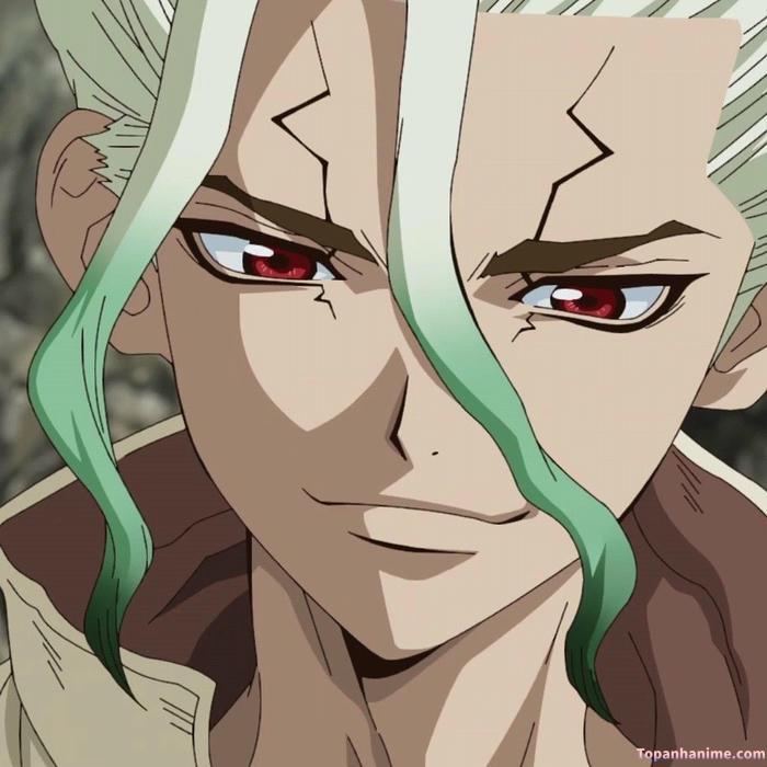 Mẫu ảnh Senku Ishigami 4