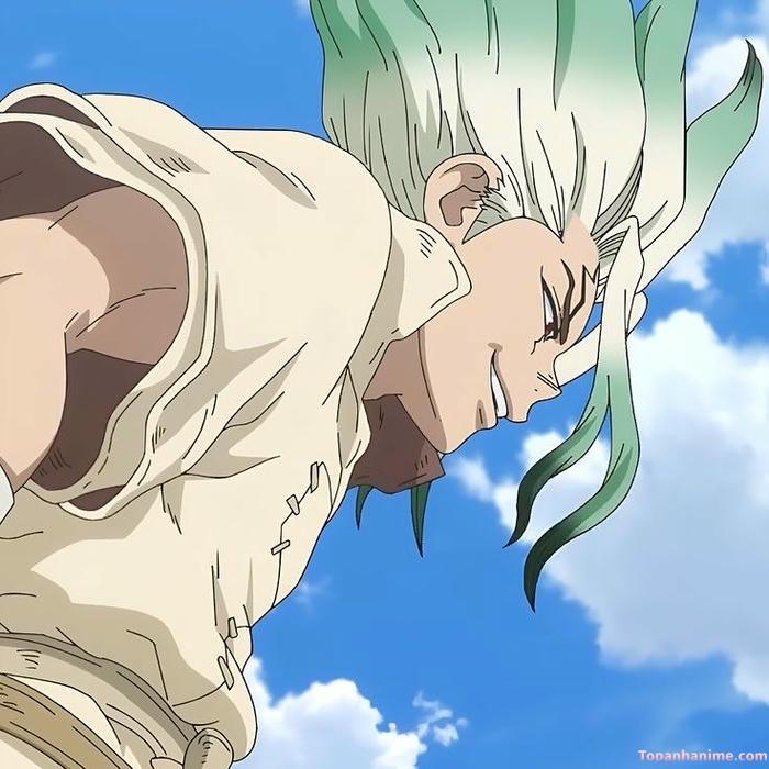 Mẫu ảnh Senku Ishigami 15