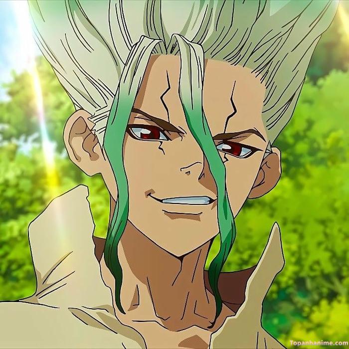 Mẫu ảnh Senku Ishigami 24