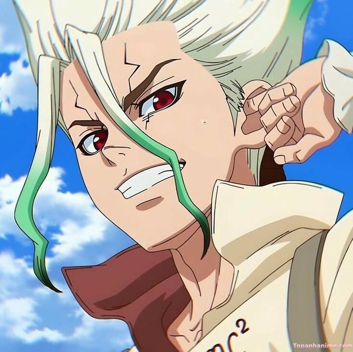 Mẫu ảnh Senku Ishigami 31