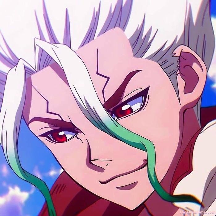 Mẫu ảnh Senku Ishigami 35