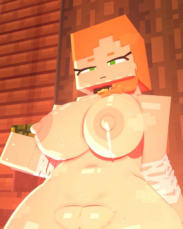 Ảnh Sex Minecraft 46