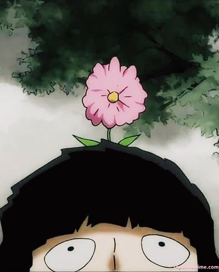 Mẫu ảnh Shigeo Kageyama 3