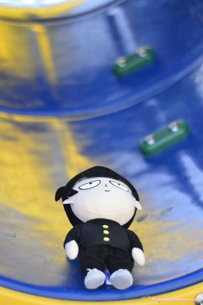 Mẫu ảnh Shigeo Kageyama 19