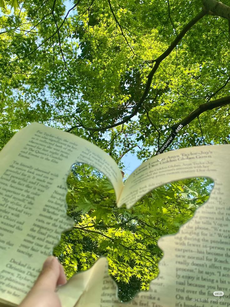 Ảnh Thiên Nhiên 1