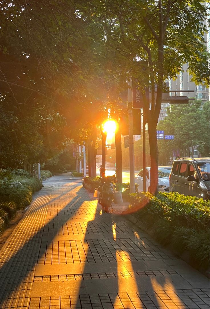 Ảnh Thiên Nhiên 3