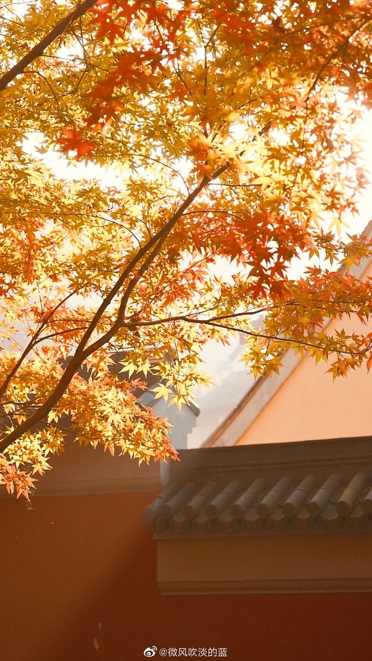 Ảnh Thiên Nhiên 8