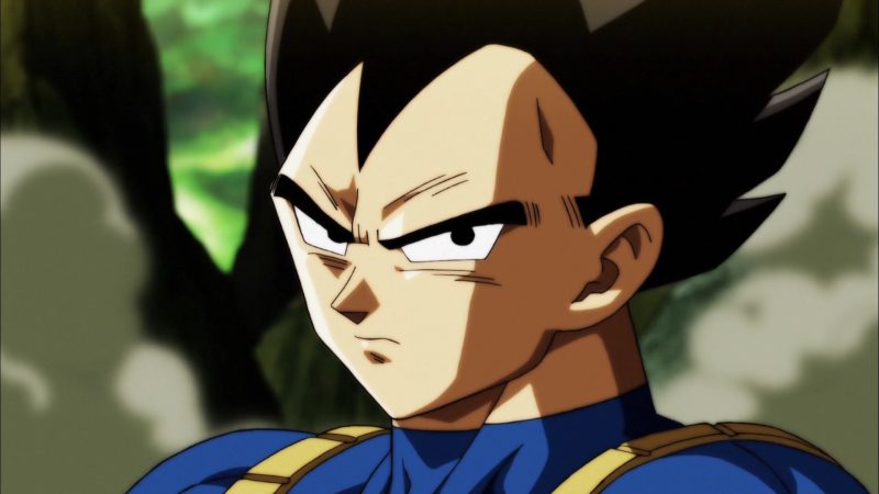 ảnh Vegeta 14