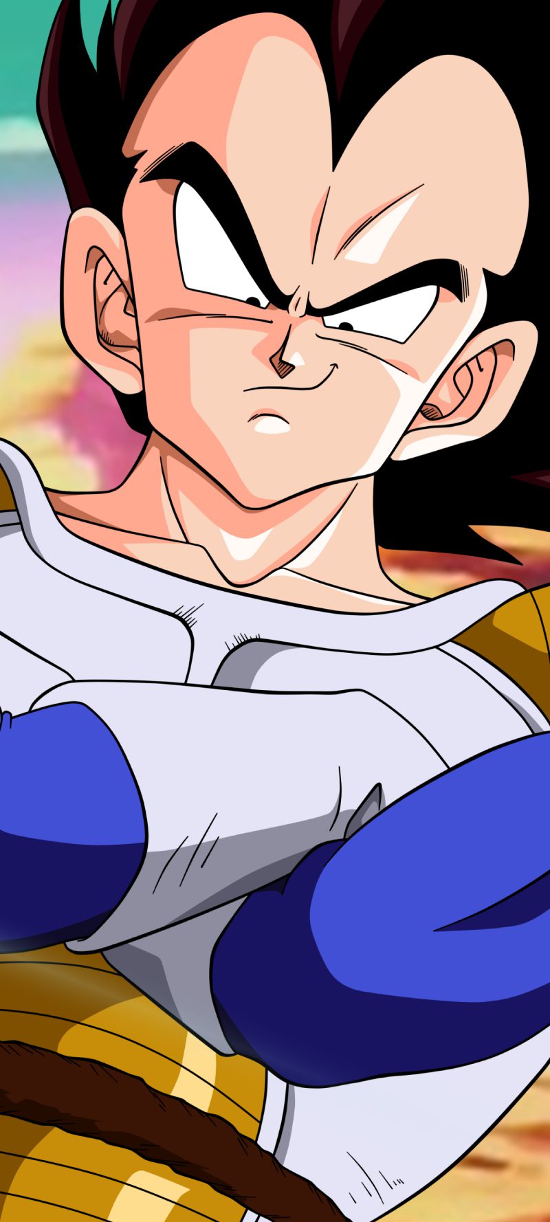 ảnh Vegeta 24
