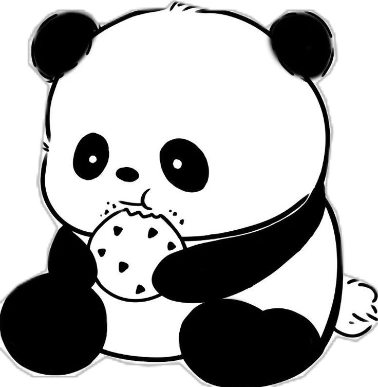Anime Panda 6