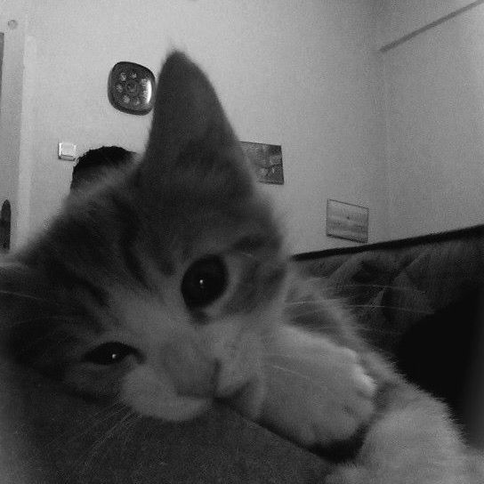 Avatar Buồn Tâm Trạng 2