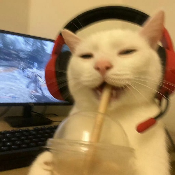 Avatar Đôi Vô Tri 16