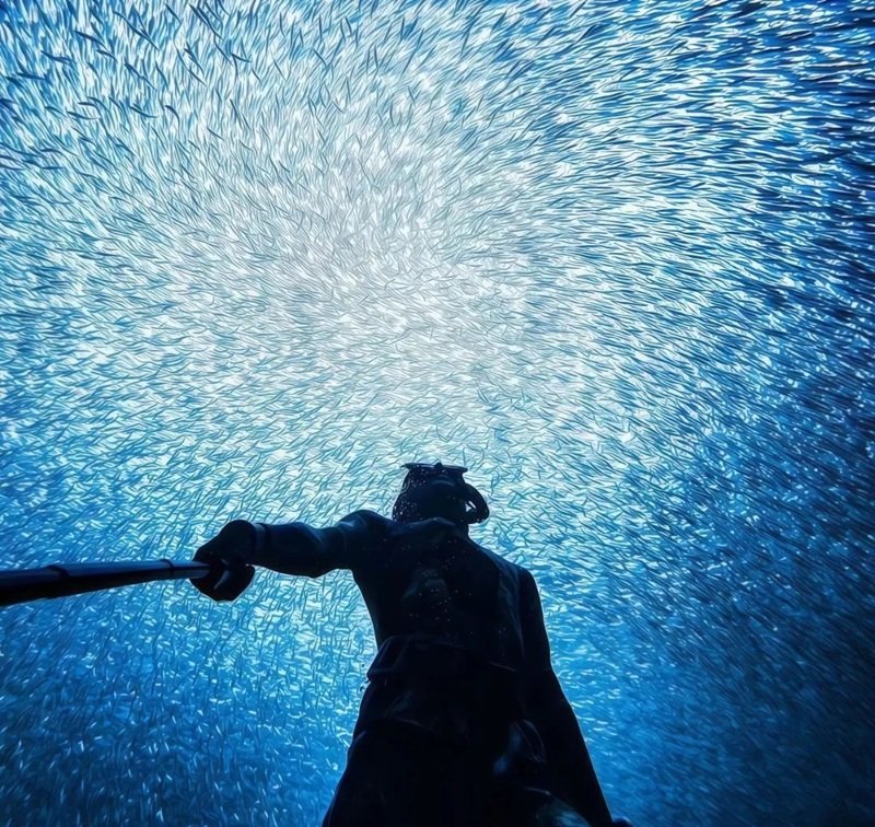 avatar ngầu cho nam 6