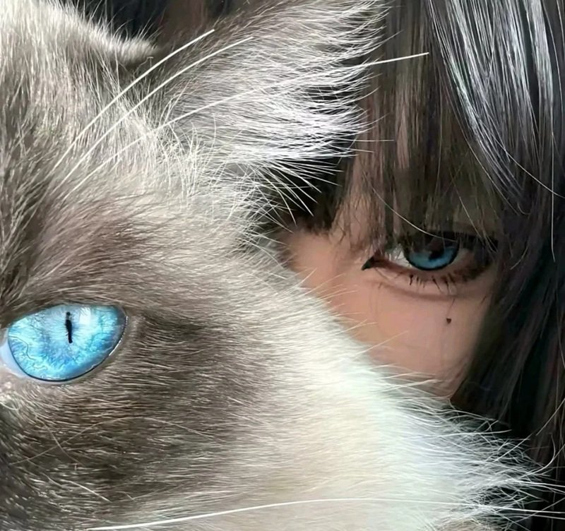 avatar nữ ngầu che mặt 20