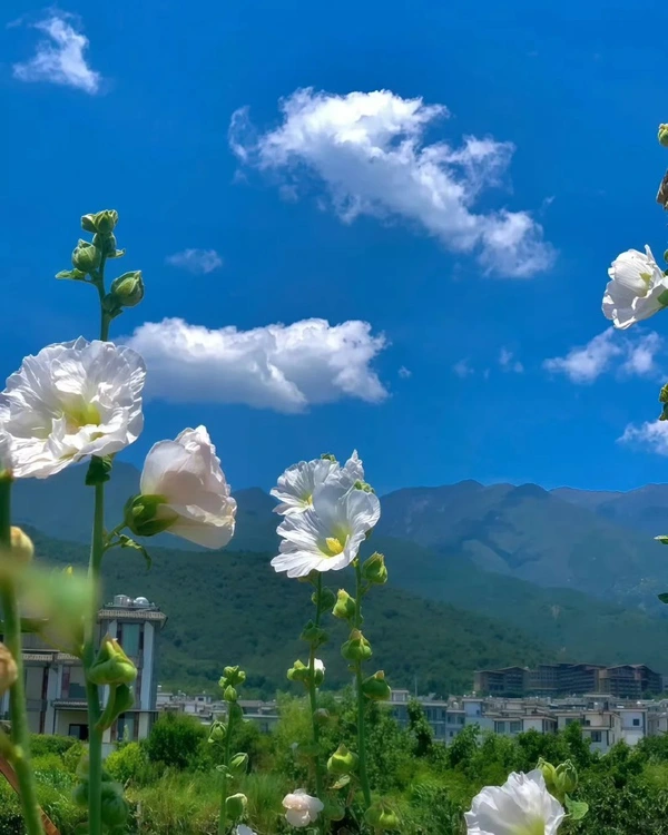 Beautiful DP for WhatsApp 42