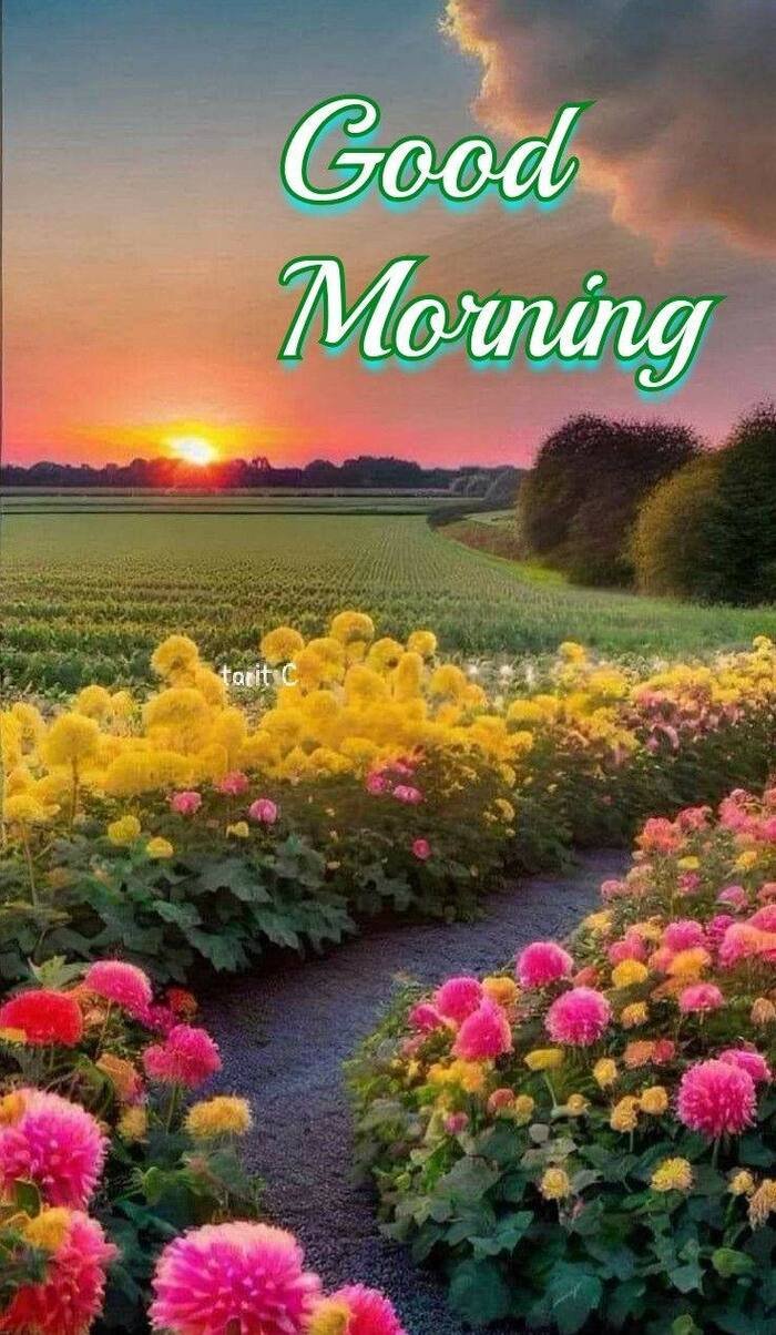 Beautiful Nature Good Morning Images 22