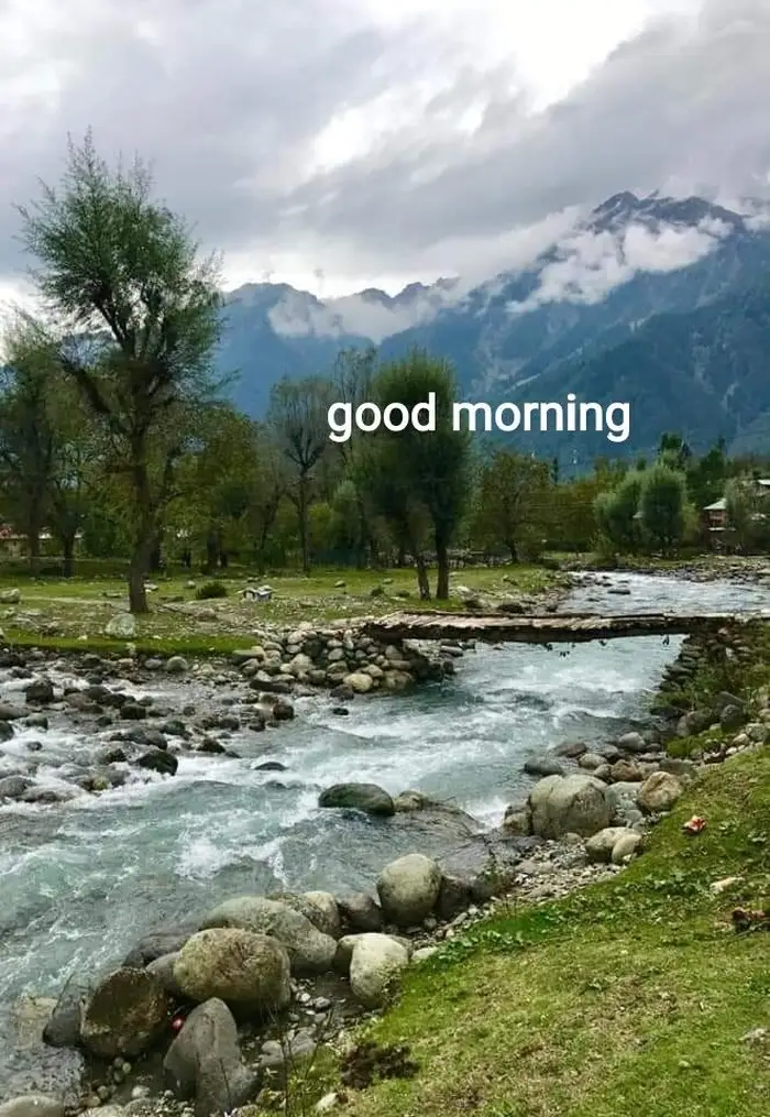 Beautiful Nature Good Morning Images 32
