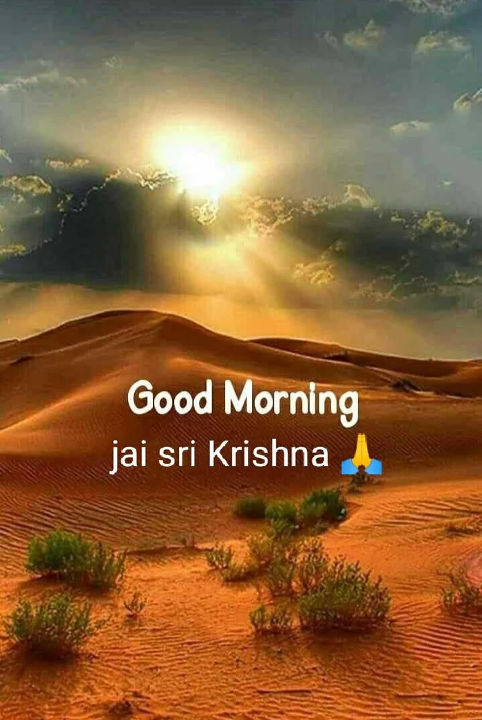 Beautiful Nature Good Morning Images 47