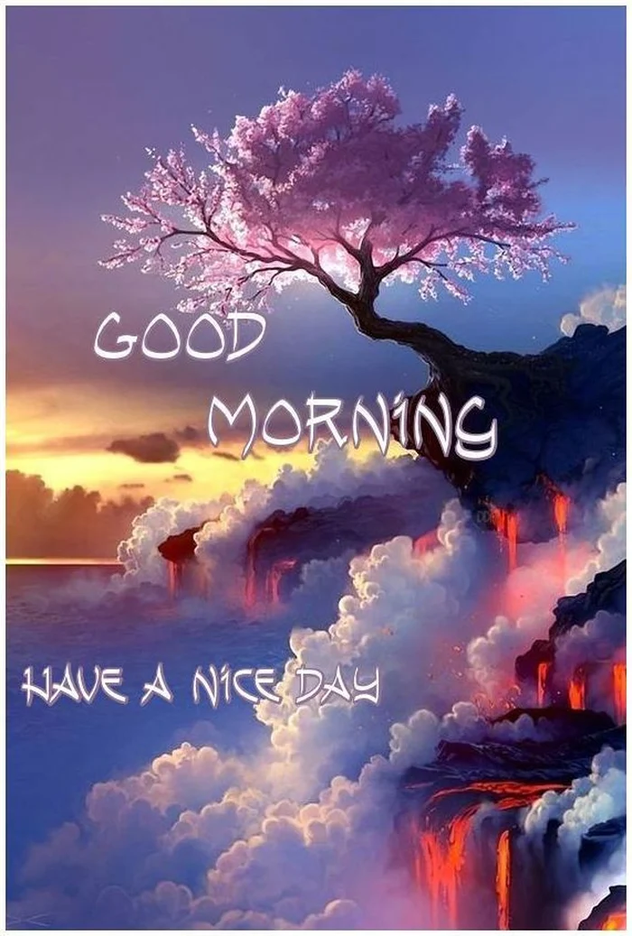 Beautiful Nature Good Morning Images 49