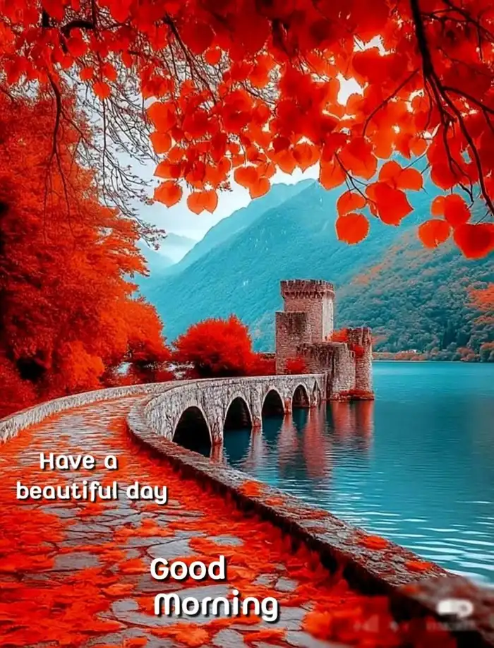 Beautiful Nature Good Morning Images 56