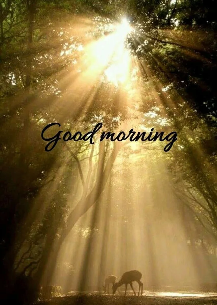 Beautiful Nature Good Morning Images 59