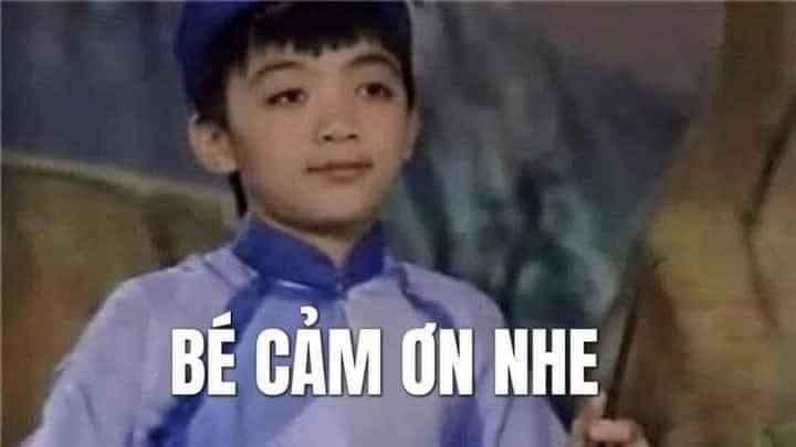 Cảm Ơn Meme 11