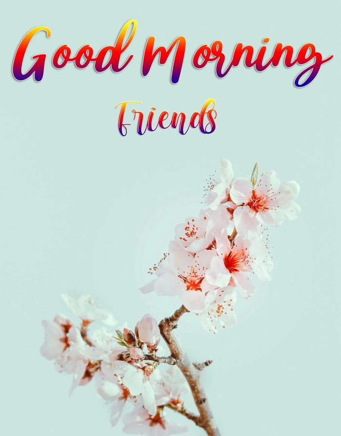 Friend Good Morning Images 34