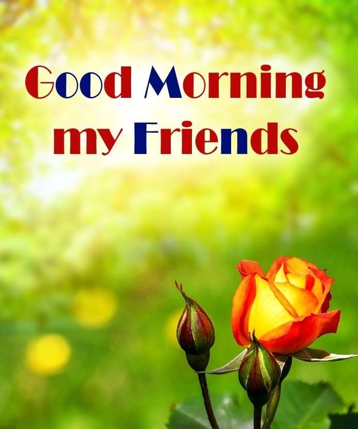 Friend Good Morning Images 59
