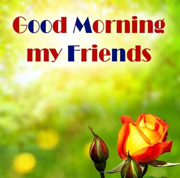 Funny Good Morning Images 4