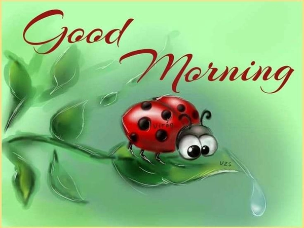 Funny Good Morning Images 37