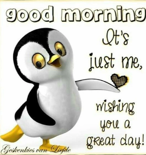 Funny Good Morning Images 38