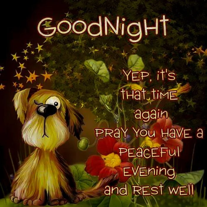 Funny Good Night Images 34