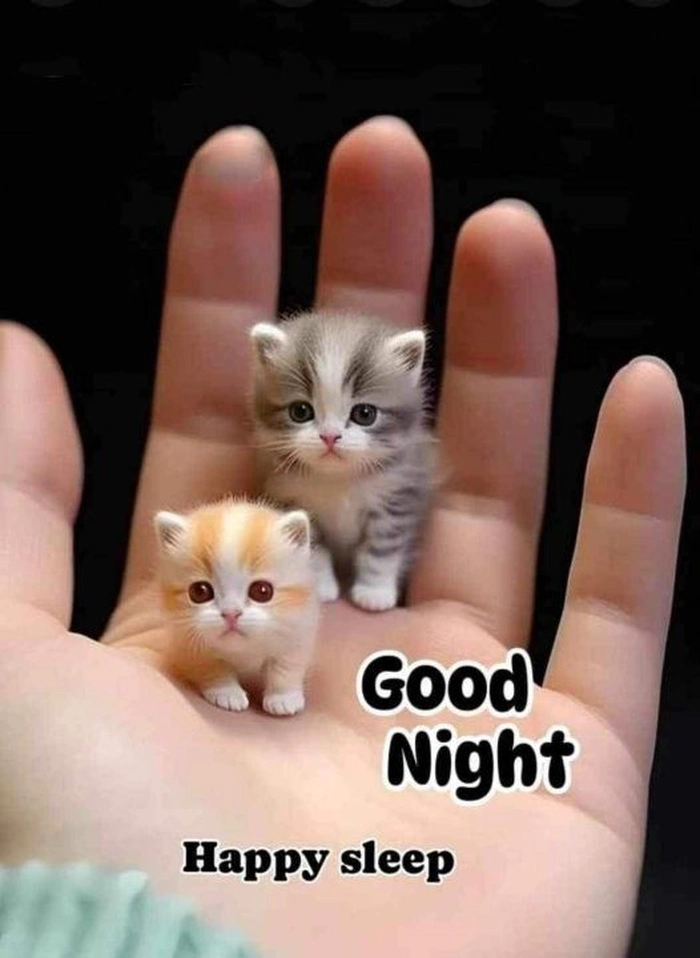 Funny Good Night Images 39