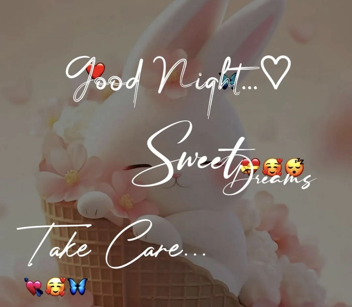 Funny Good Night Images 40