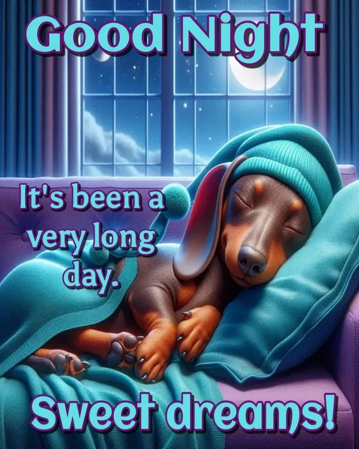 Funny Good Night Images 55