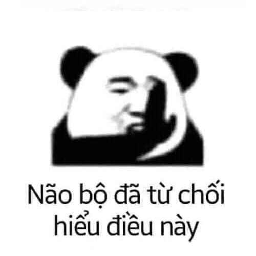 ảnh Gấu Trúc Meme 8