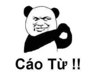 ảnh Gấu Trúc Meme 10