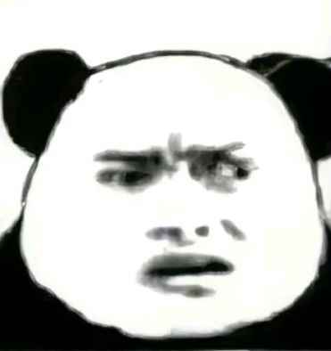 ảnh Gấu Trúc Meme 13