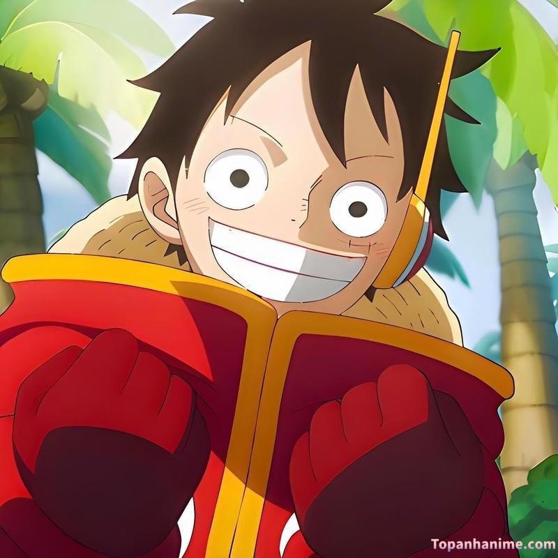 ảnh anime Luffy 22
