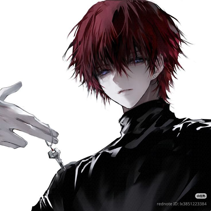 Hình Ảnh Anime Ngầu Nam 15