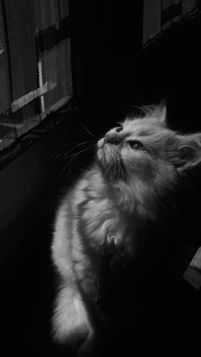 Hình Ảnh Buồn 4