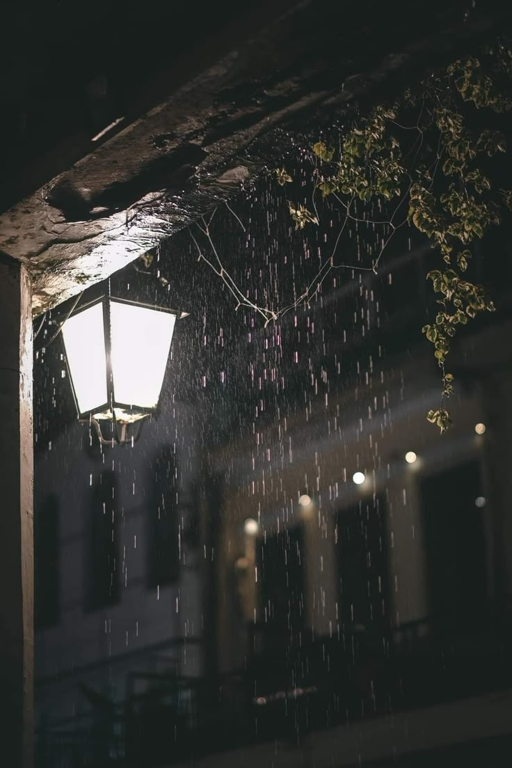 Hình Ảnh Buồn 6