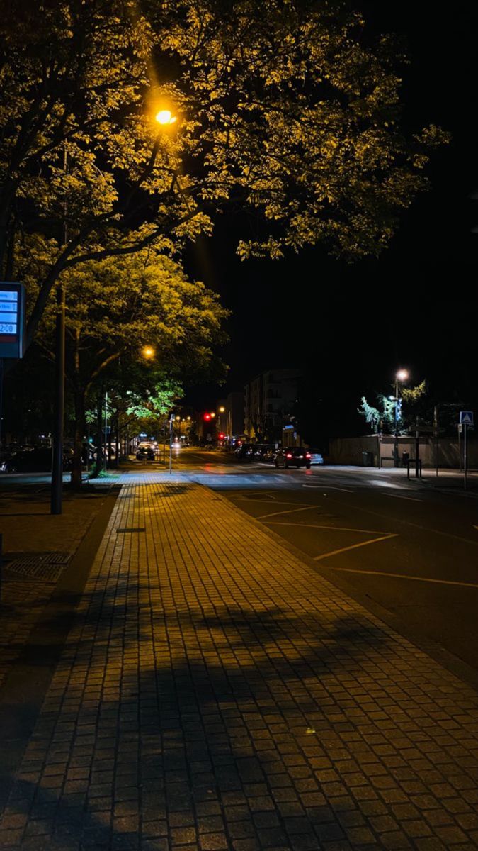 Hình Ảnh Chill Đường Phố 16