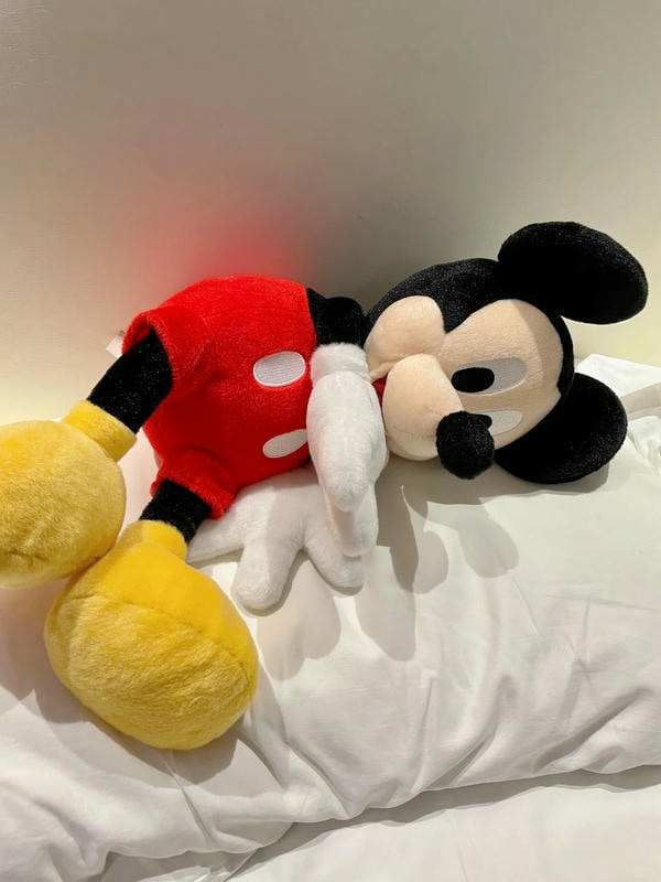 ảnh Mickey 33