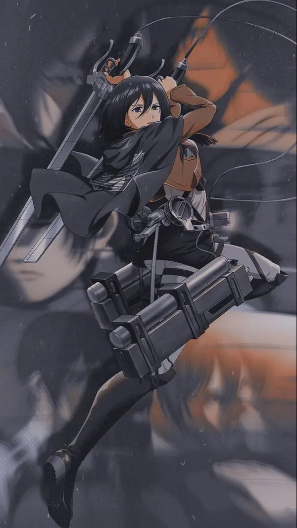 Hình Ảnh Mikasa Ackerman 65