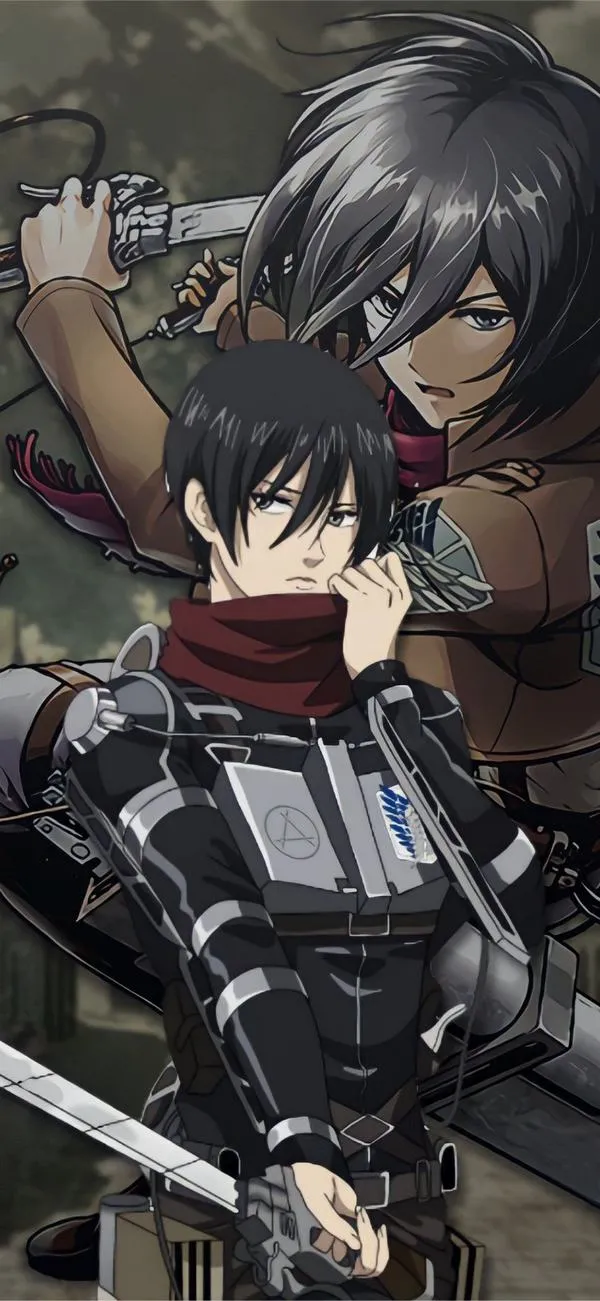 Hình Ảnh Mikasa Ackerman 18