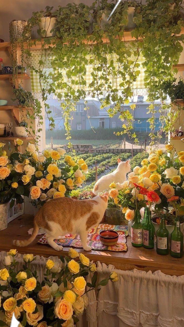 Hình nền chill 13