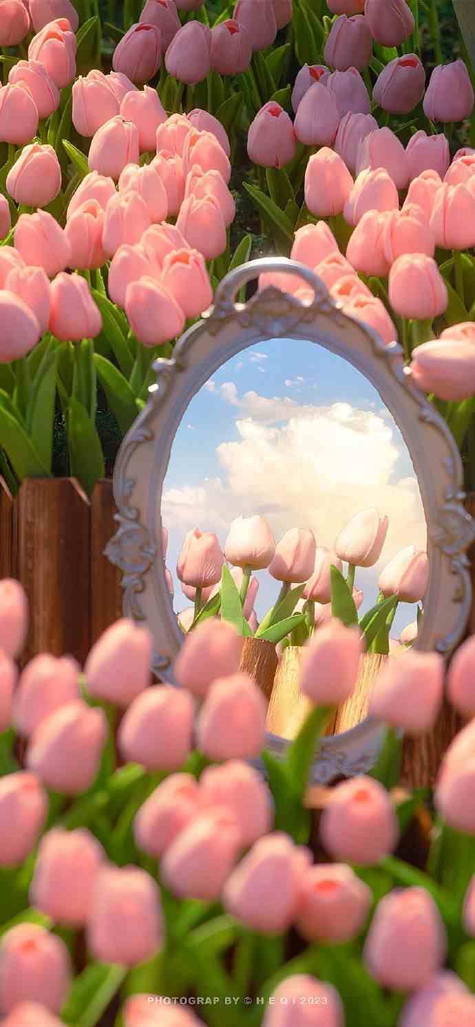 Hình nền hoa tulip chill 5