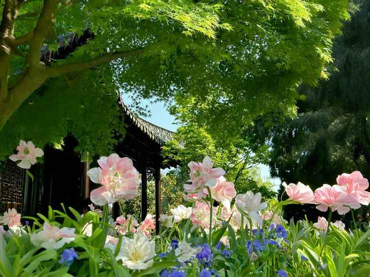 Hình nền iPad cute 16